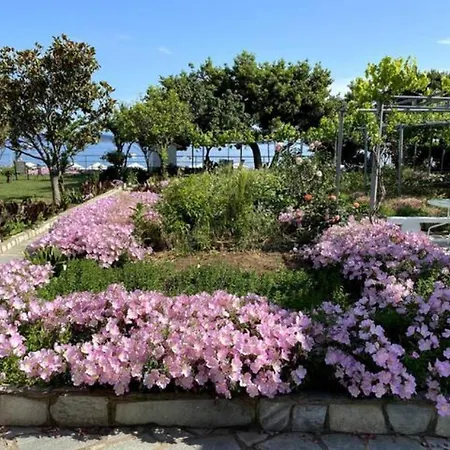 Ammos Luxury Apartahotel