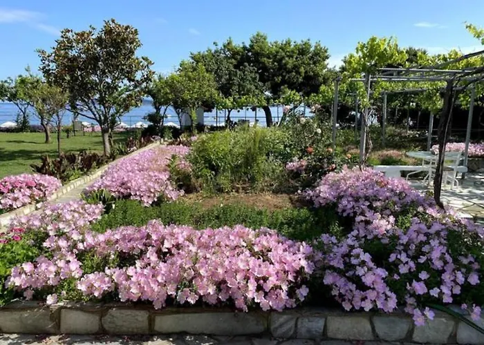 Ammos Luxury Appart hôtel